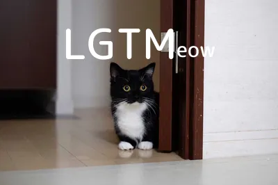 LGTM image