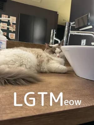 LGTM image