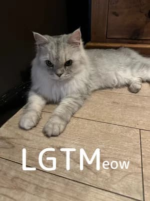 LGTM image
