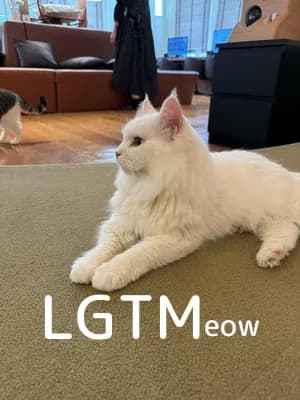 LGTM image