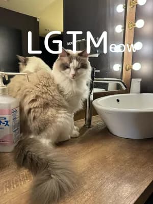 LGTM image