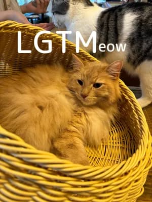 LGTM image