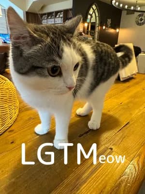 LGTM image