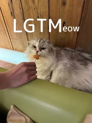 LGTM image