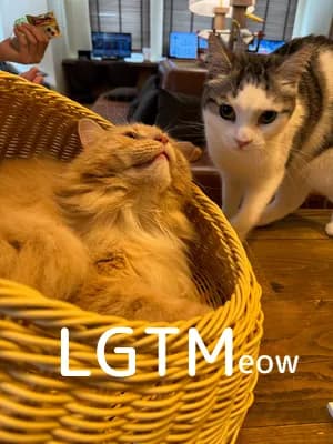 LGTM image