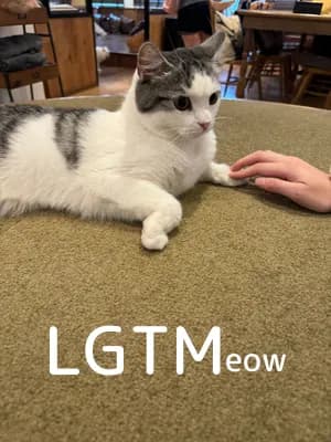 LGTM image