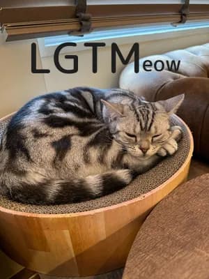 LGTM image