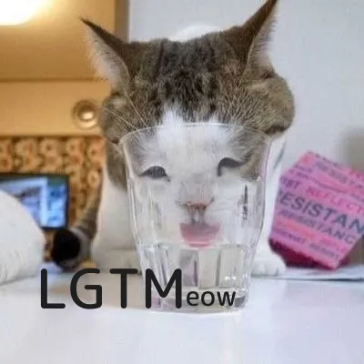 LGTM image