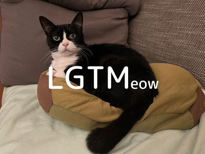 LGTM image