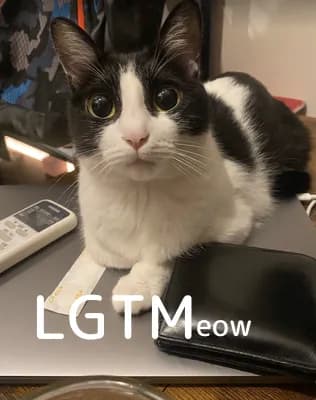 LGTM image