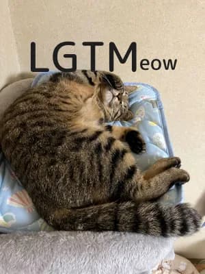 LGTM image