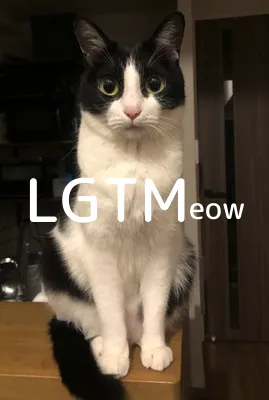 LGTM image