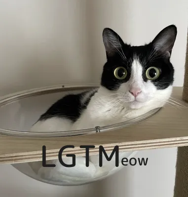LGTM image