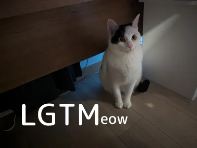 lgtm-cat-image