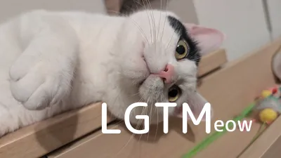 LGTM image