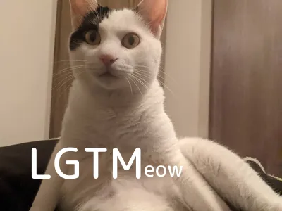 LGTM image