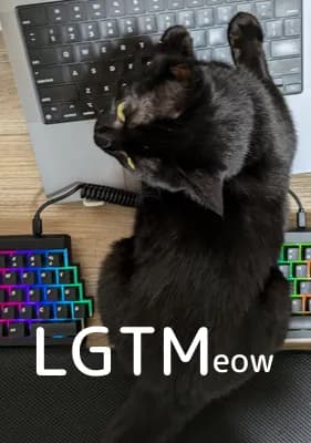 LGTM image