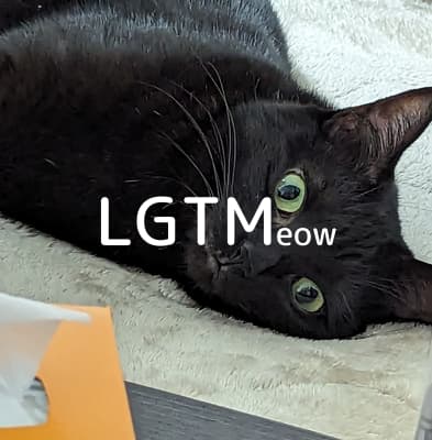 lgtm-cat-image