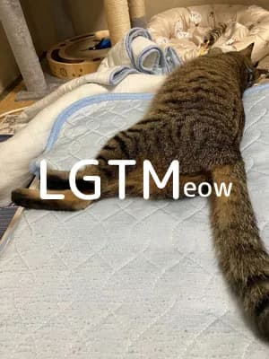 LGTM image