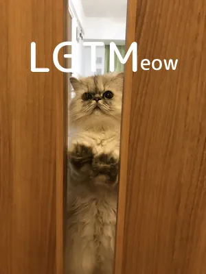 LGTM image
