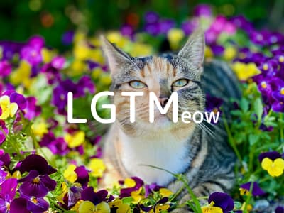 lgtm-cat-image