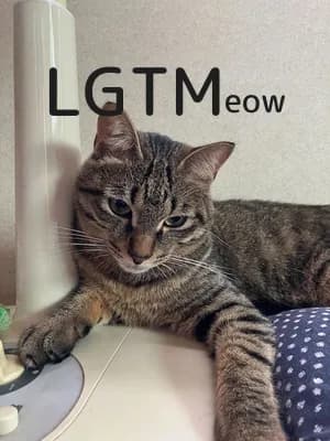 LGTM image