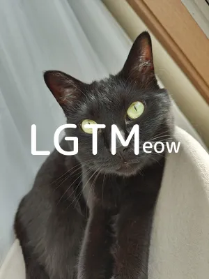 LGTM image