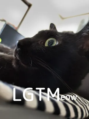 LGTM image