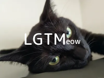 LGTM image