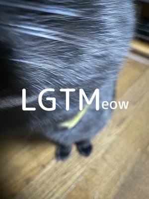 LGTM image