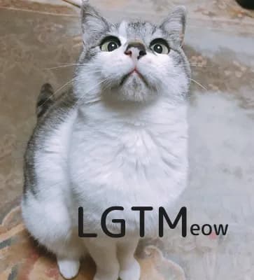 LGTM image