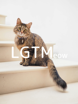 lgtm-cat-image