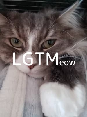 LGTM image