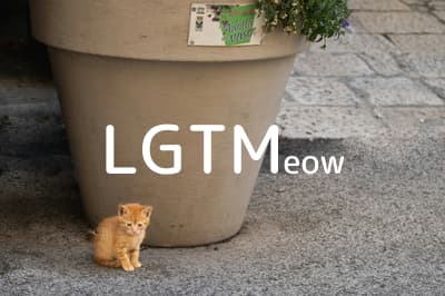 lgtm-cat-image