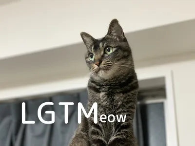LGTM image