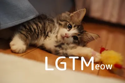 lgtm-cat-image