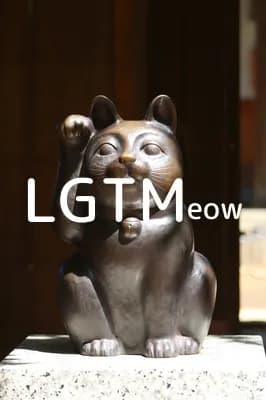 lgtm-cat-image