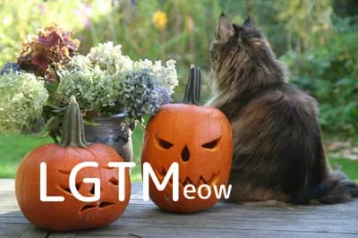 LGTM image