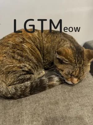 LGTM image
