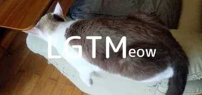 LGTM image