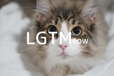 lgtm-cat-image