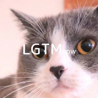 lgtm-cat-image