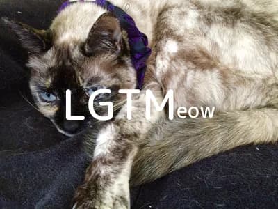 LGTM image
