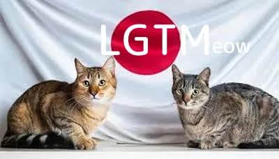 LGTM image