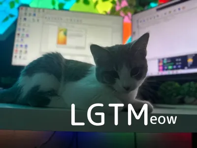 LGTM image