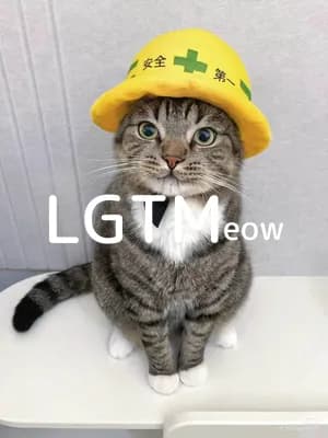 lgtm-cat-image