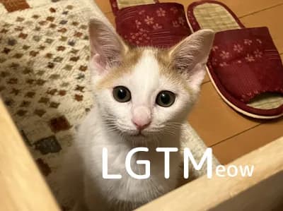LGTM image