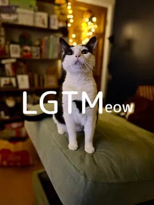 lgtm-cat-image