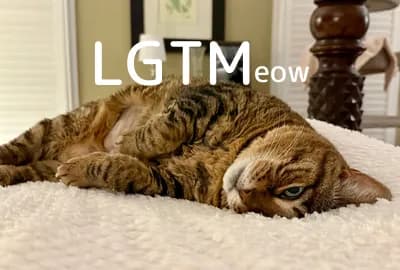 LGTM image