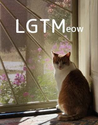 LGTM image